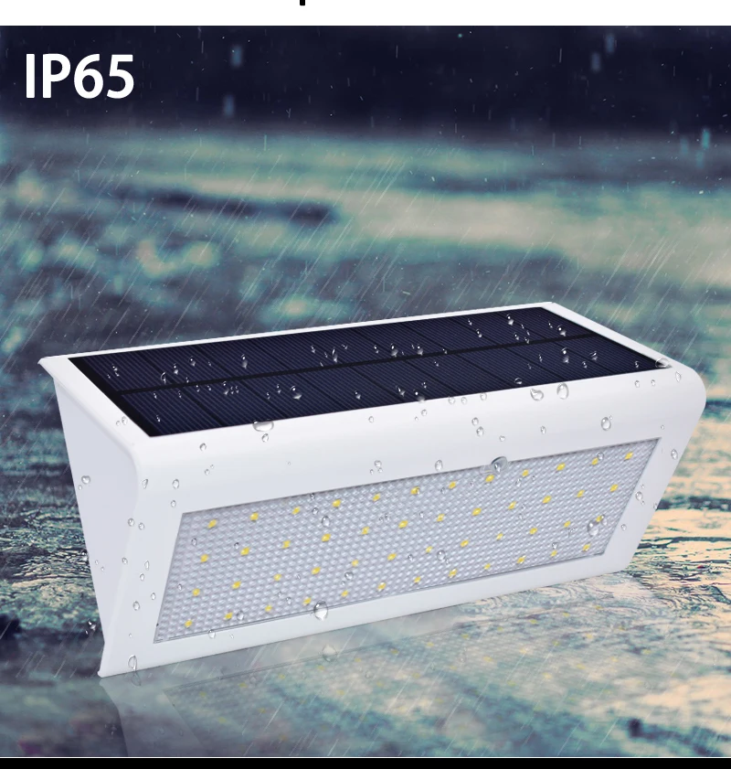 48LED2_11