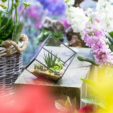NCYP Handmade Mediterranean Style Glass Geometric Terrarium Desktop Display Succulent Plant Flower Pot Decoration Terrarium