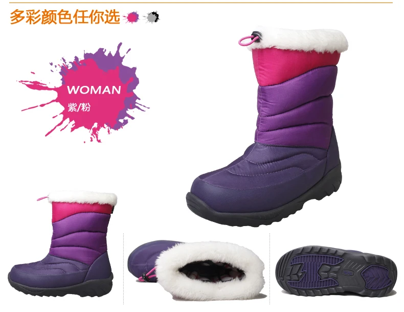 BOT12010-02_20