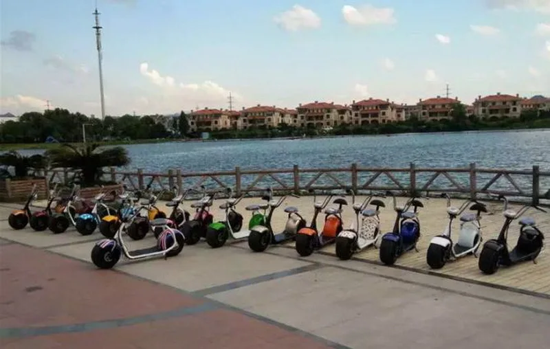 36020170830101059499