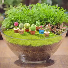 7 шт. мох микро экологический ландшафт бутылка украшения набор со словами моделирования небольшой горшок набор(смешанный стиль