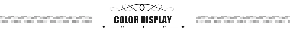 -1 COLOR DISPLAY