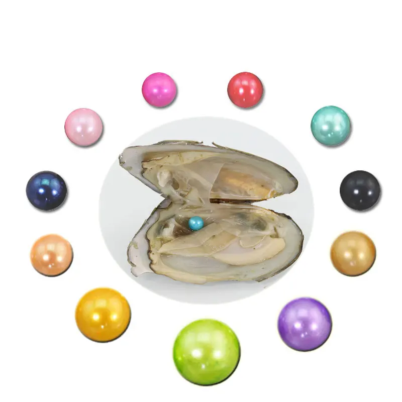 Wholesale Freshwater Oysters with Colored Pearls 6 7MM/7 8MM Round Dyed