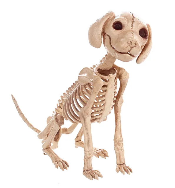 High Qualtity Skeleton Dog Puppy Skeleton Animal Bones for Horror