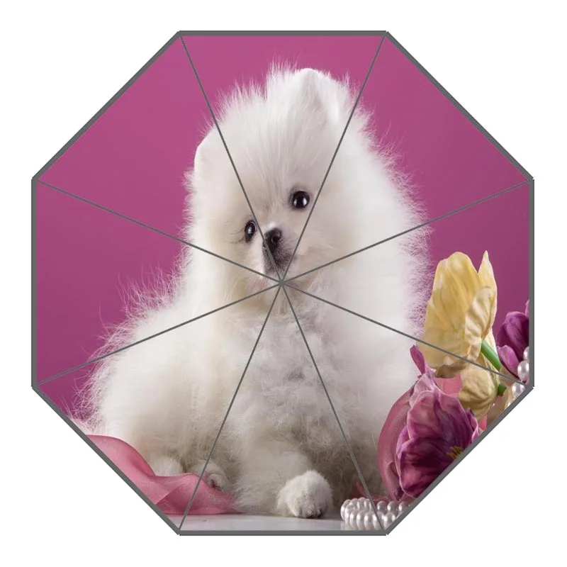 Новое поступление, померанские зонты для собак, неавтоматический складной женский зонтик от дождя, индивидуальный модный портативный зонтик, подарок