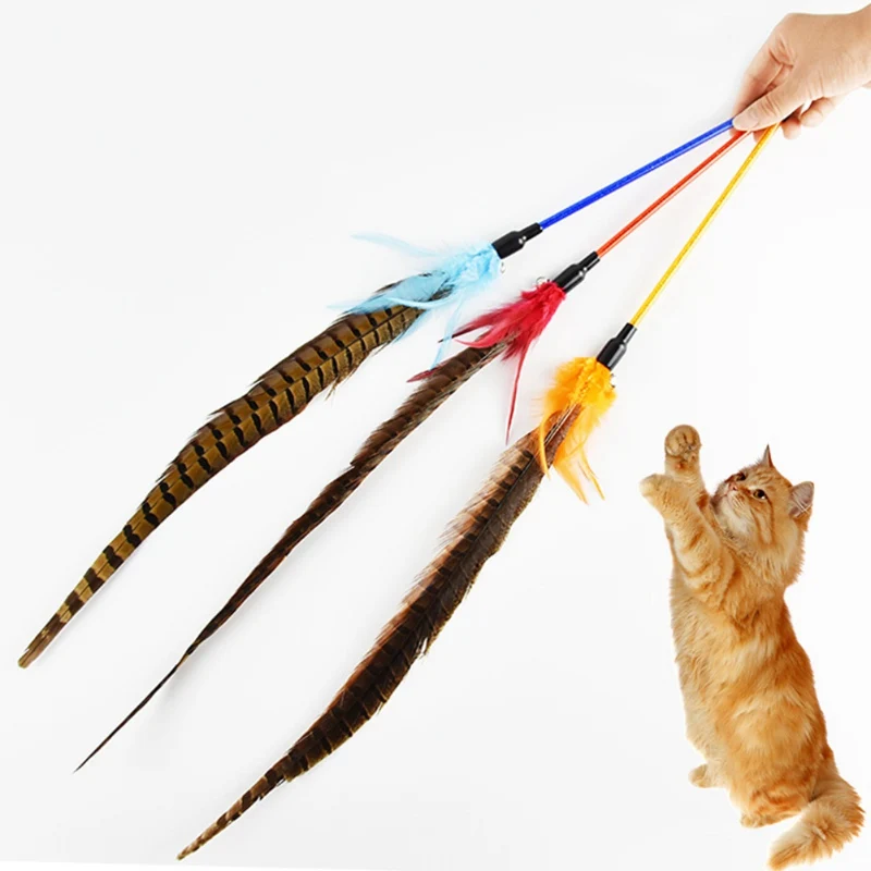 

Pet Cat Chasing Cat Wand Toy for Solving Boredom Exercise Interactive Feather Toy Tease