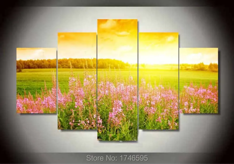 Sunshine flower field