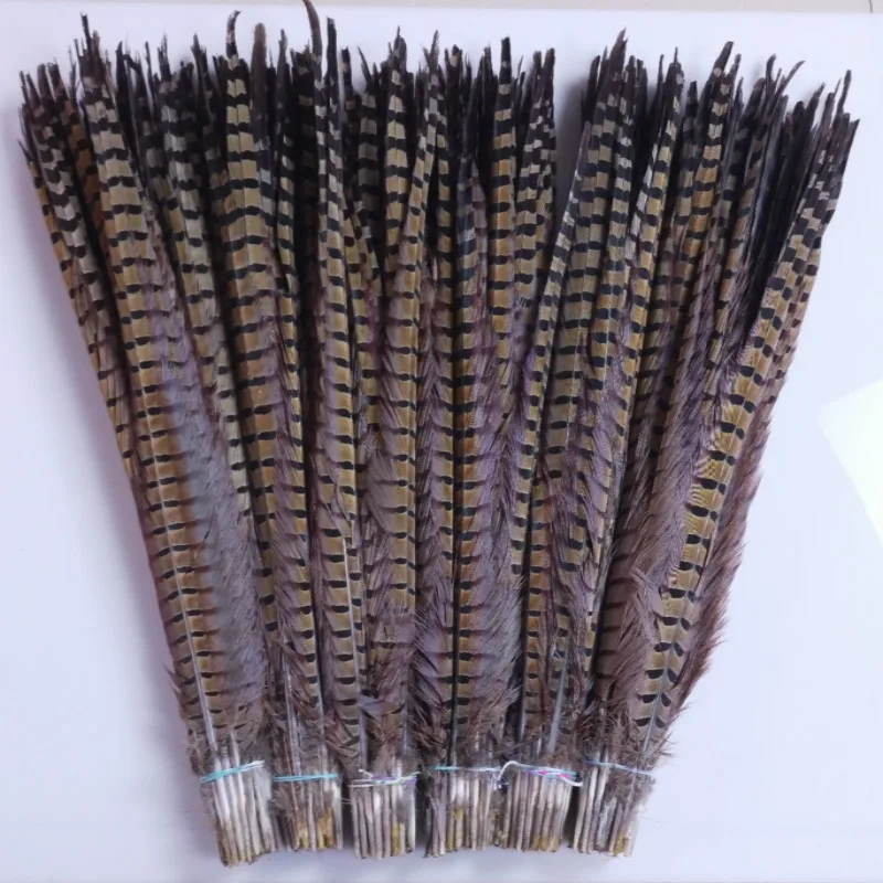 

Free shipping 100 PCS long Natural color pheasant tail feathers 22-24inches/55-60cm