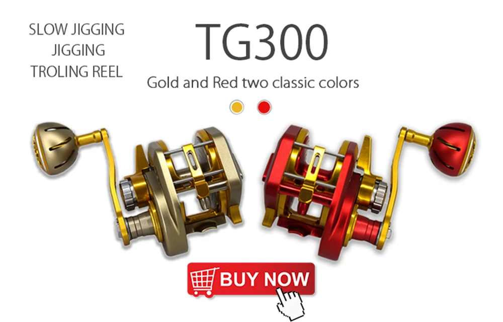 TG300