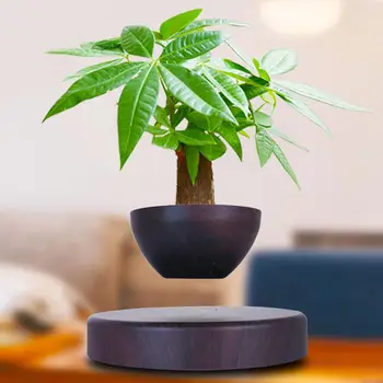 

Magnetic Levitating Air Bonsai Pot Magnetic Levitation Suspension Flower Floating Decor Float in the Air for Home Office Decor
