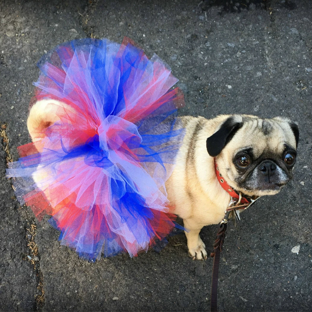 

Christmas Princess Pet Skirts Soft Cosplay Bulldog Dress For Small Pet Mesh Dog Tutu Skirt Princess Pet Skirt Dog Costume