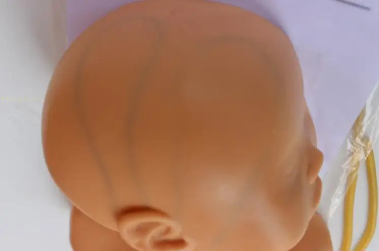 Дополнительно младенческой головы внутривенно модель обучения одностороннее детской головы модель