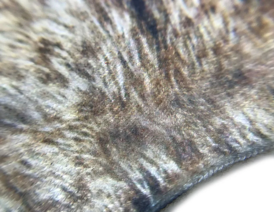 014 Creative Sock