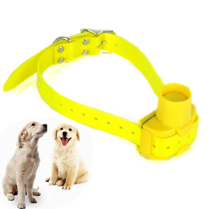 dog training beeper
