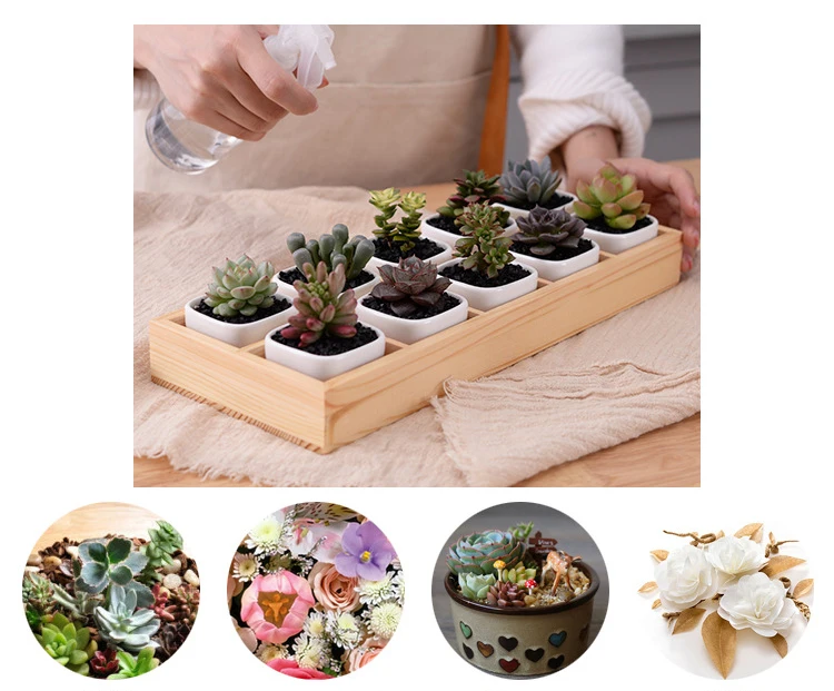 3814362051_675057837