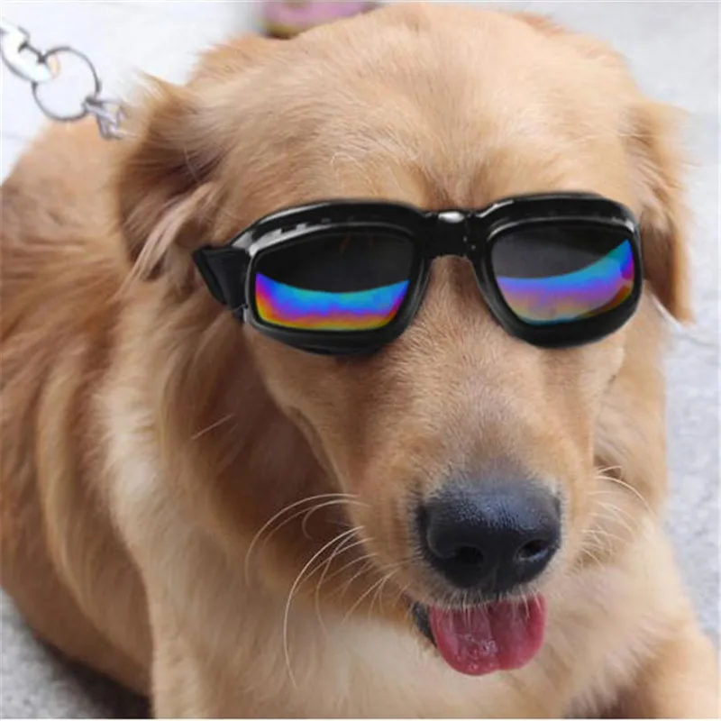 Buy Fashion Pet Sunglasses Dog Sunglasses Windproof