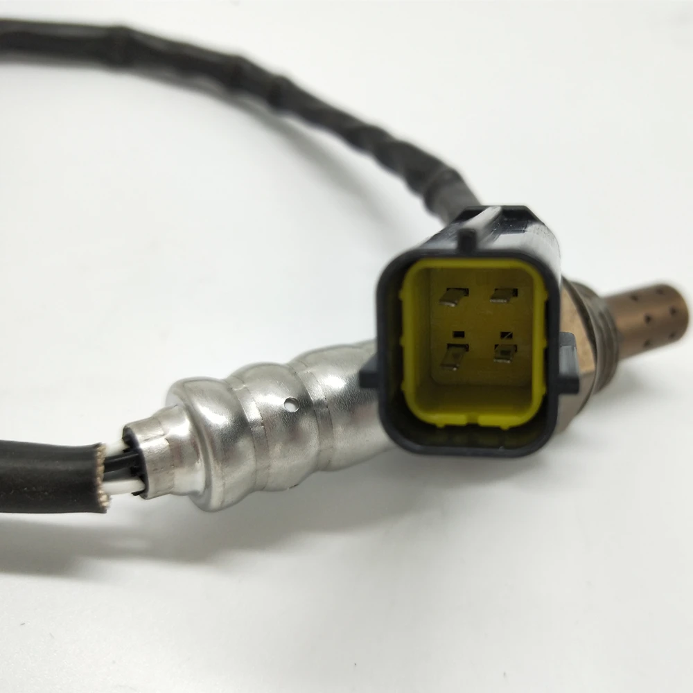 1f970f6f43baf435a3720d1e1141285e