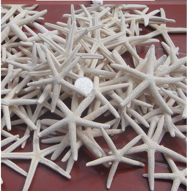 HappyKiss/белые натуральные морские звезды, настоящий белый палец, морская звезда, Размер 7-10 см, Свадебные или вечерние украшения для дома, морская звезда, 10 шт./лот
