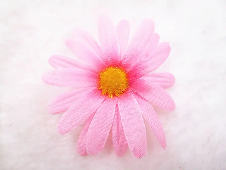 DSCN0459_