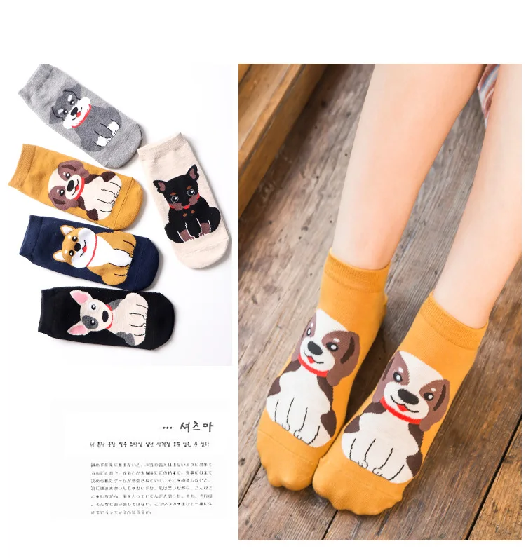 10297634525_259698019