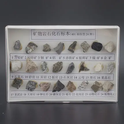 

24 types of fossil mineral rock specimens free shopping