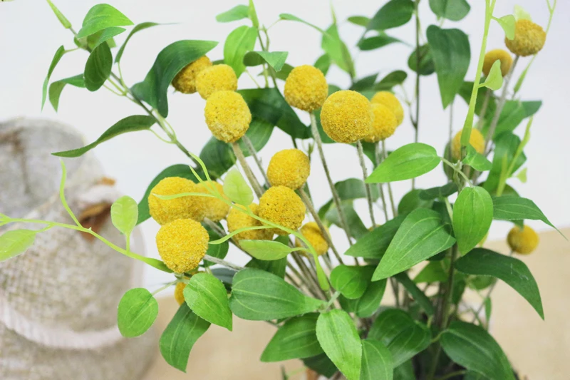 JAROWN Natural Dried Flowers Gold Ball Eternal Flores For Wedding DIY Bouquet Decorations Home Flower Arrangement Art (11)