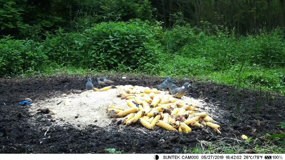 Armadilhas de Vigilância Smtp Caça Trail Câmera Mms Sms 16mp 1080 p Câmeras Celulares Hc700g Visão Noturna 940nm Foto Selvagem 3g 13 High Quality Esporte e Lazer