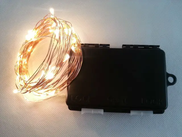 6m 60 led 3aa outdoor battery powered timer led copper wire string
