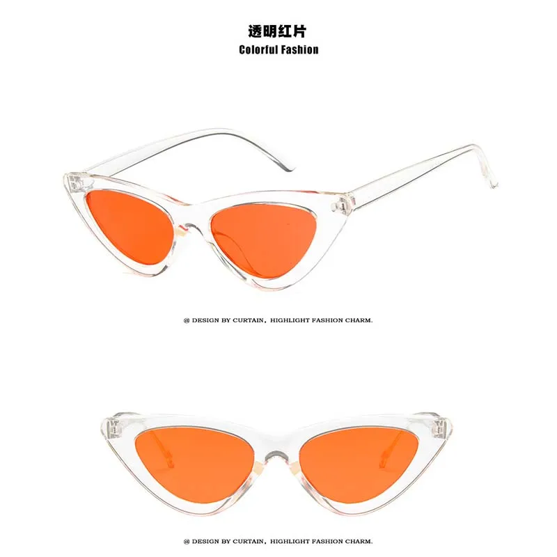 5457375921_825563273