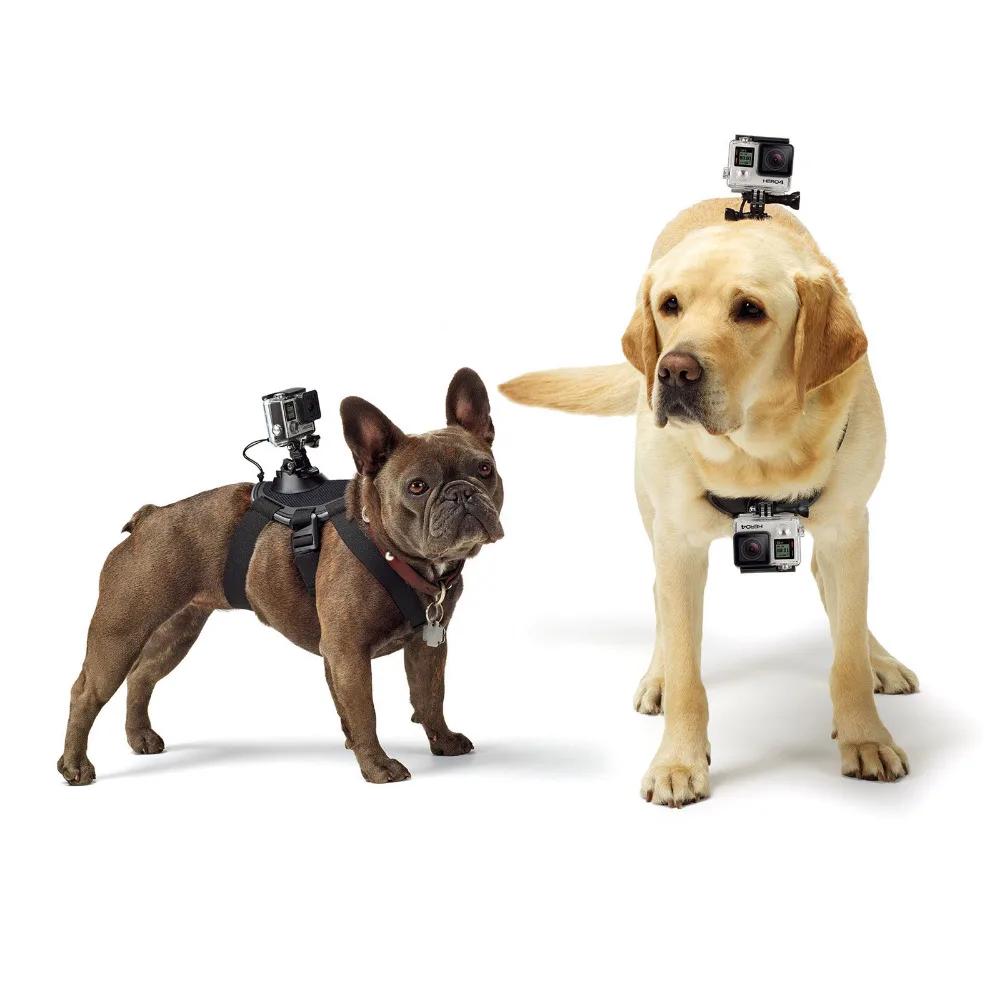 Dog Chest Harness Adjustable Dog Fetch Harness Chest Strap Belt Mount For GoPro Hero 543+32SJ4000 SJ5000 Action Sport Camera (1)