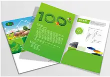 

1000pcs A4 presentation folder printing with free ship