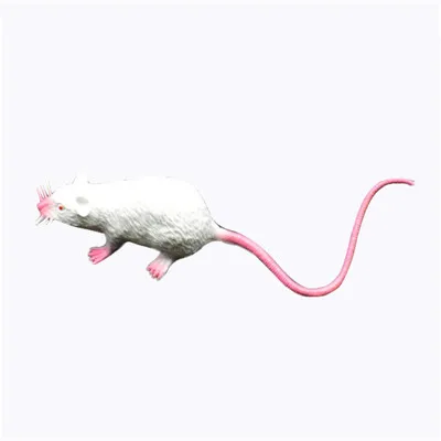 22 см ПВХ интересные подделки мыши дети ложный реквизит в виде животных игрушка мини животное поддельная мышь Модель для кошек поставки играть забавные игрушки - Цвет: White