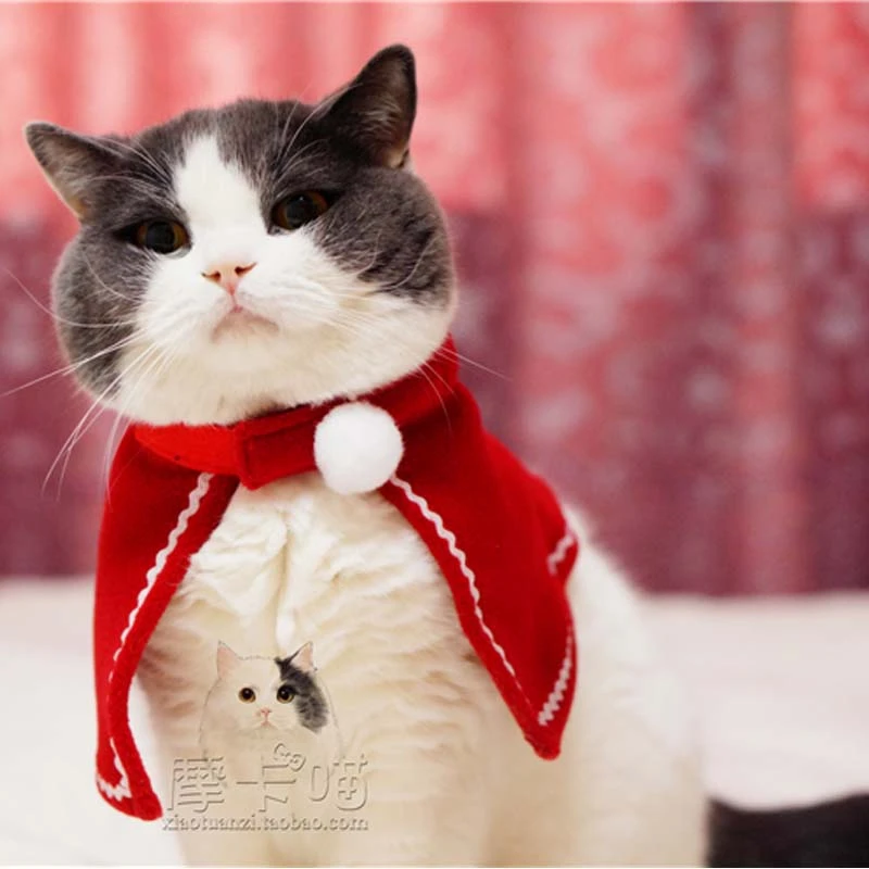 Kat Dog Kerst kostuum cosplay Warme winter hond mantel sjaals cape sjaal voor Hond Pet Kerstman Huisdier levert|scarf for scarvesscarf for winter AliExpress