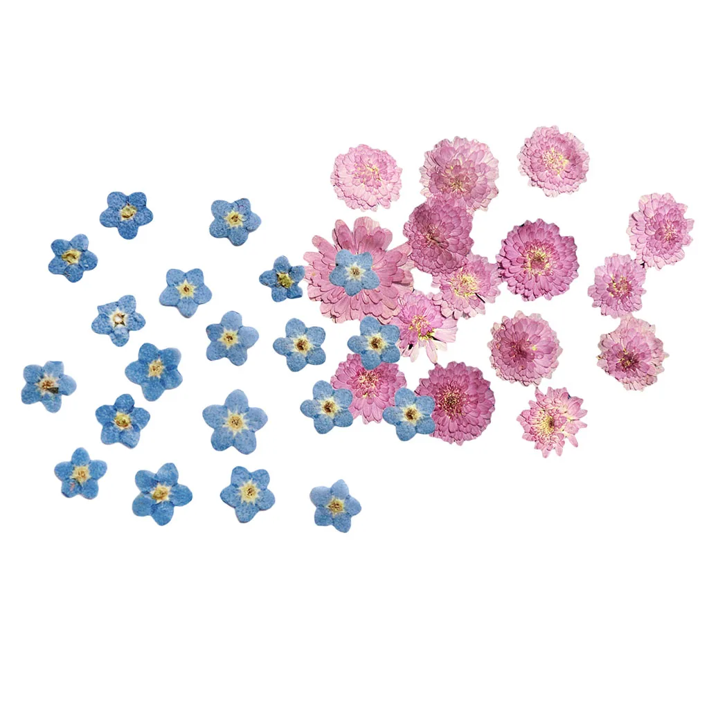 20x Pressed Dried Flower Dry Leaves for DIY Craft Bookmark Cards Making