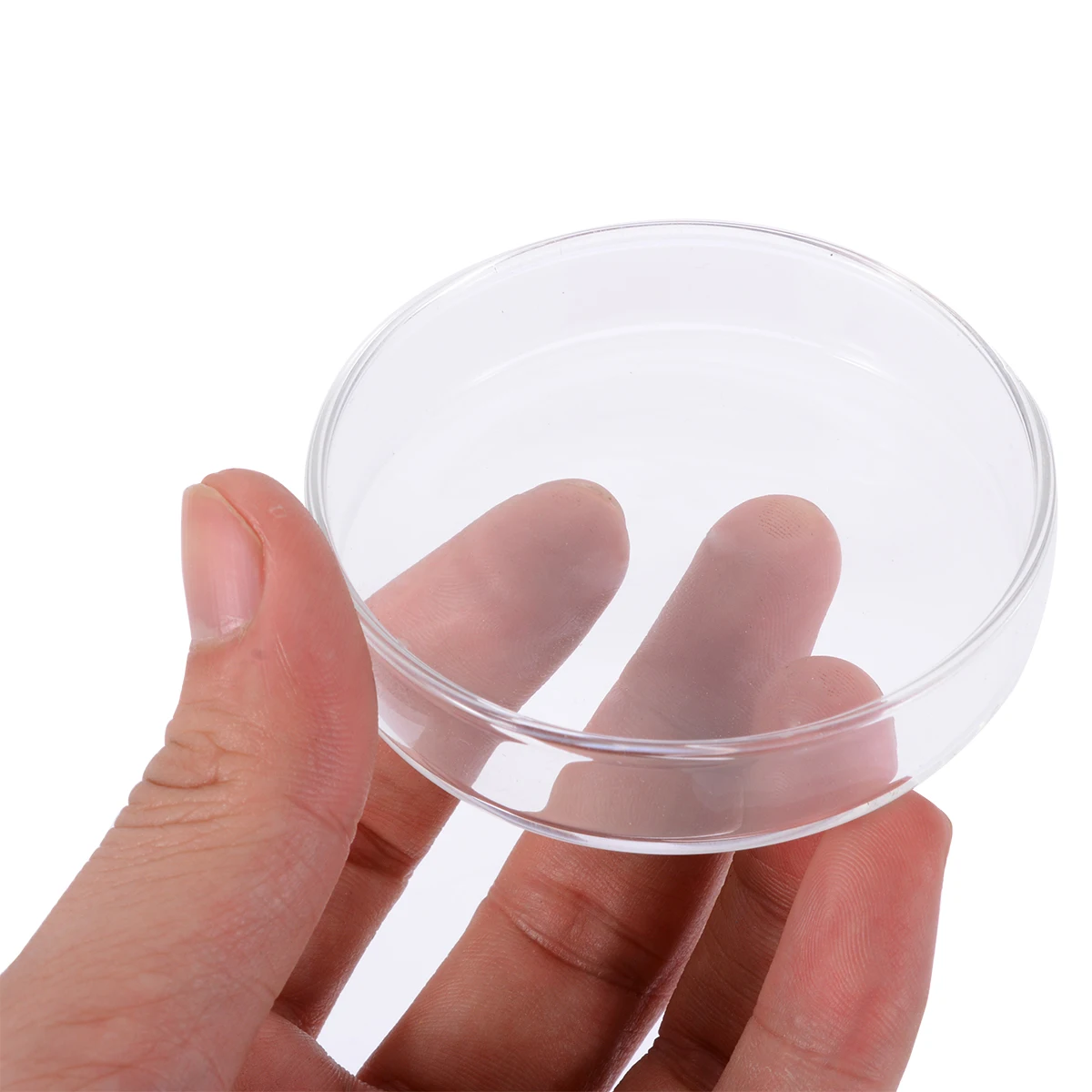 Clear Acrylic Shrimp Feeding Food Dish Feeder Container for Aquarium Fish Tank 6.5cm x 1.5cm
