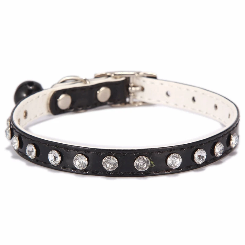 dog collar (1)