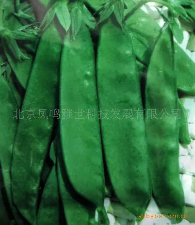

Peas France Hot nutrition vegetable bonsais pod 10pcs