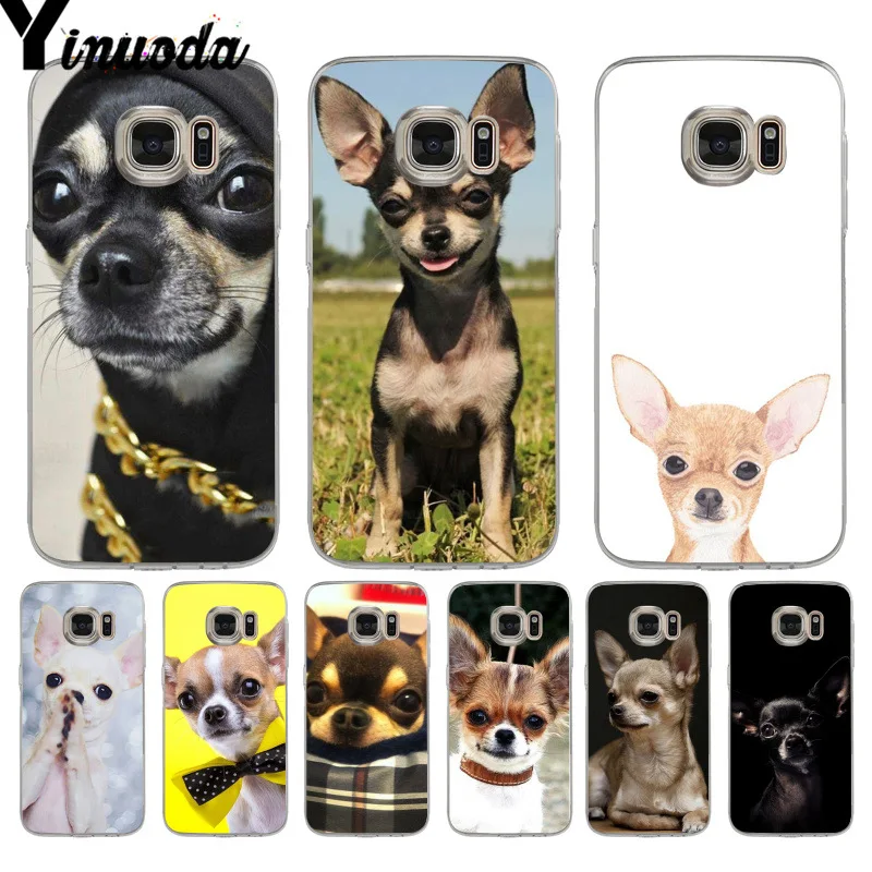 

Yinuoda Animal Chihuahua Dog Diy Luxury Protector phone Case for samsung galaxy S9 plus S7 edge S6 edge plus S5 S8 plus case