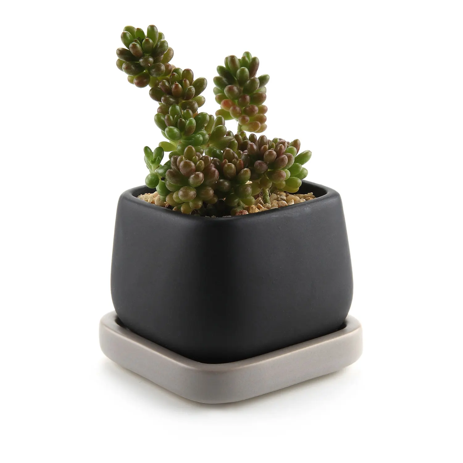 

T4U 2.75 Inch Ceramic Modern Mini Square Succulent Plant Pot / Cactus Plant Pot Container with Grey Tray - Matte Black