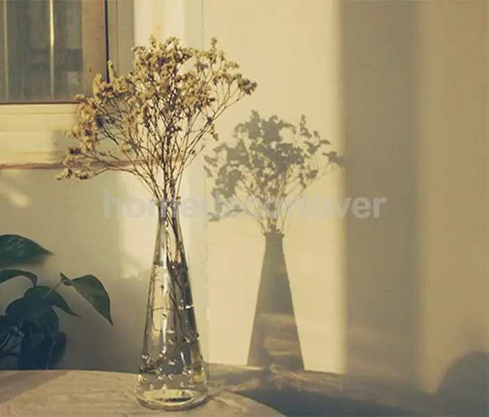 Clear Cone Flask Flower Glass Vase Bottle Fish Tank Aquarium Home