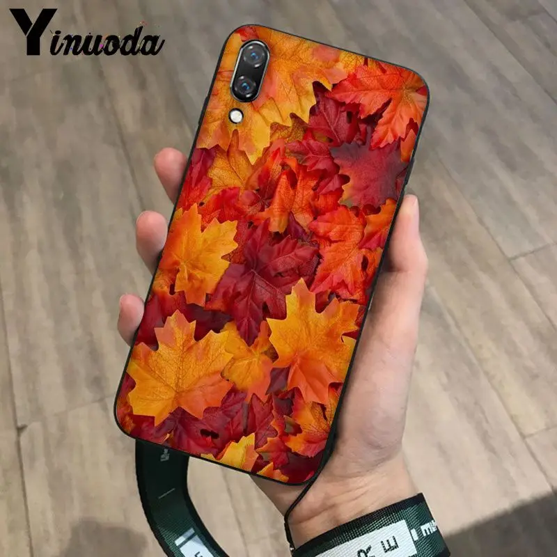 Deciduous maple leaf