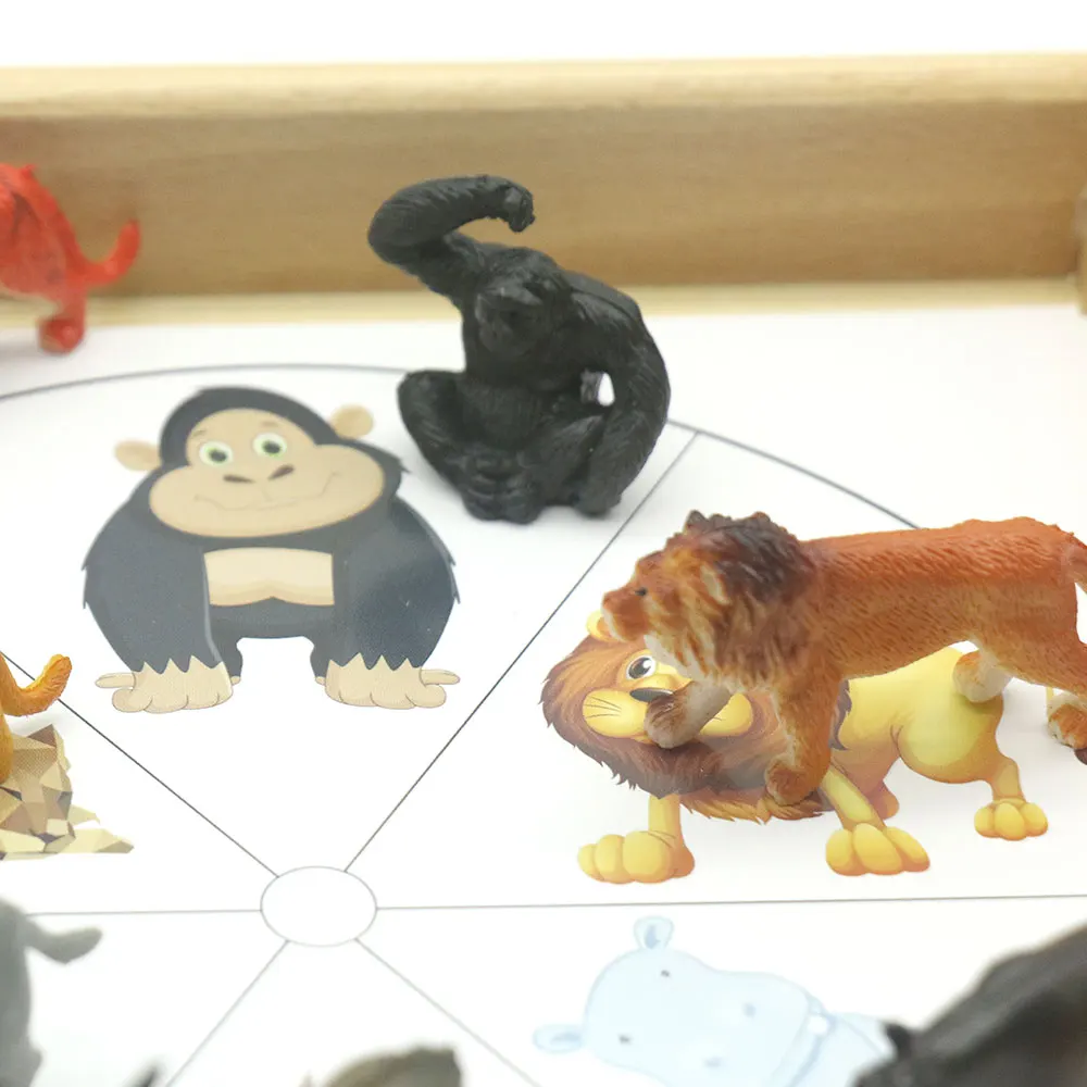 Montessori Animal Cards Clip Set with Tray Words Learning Material Preschool Educational Toys Juguetes Montessori MC0864H