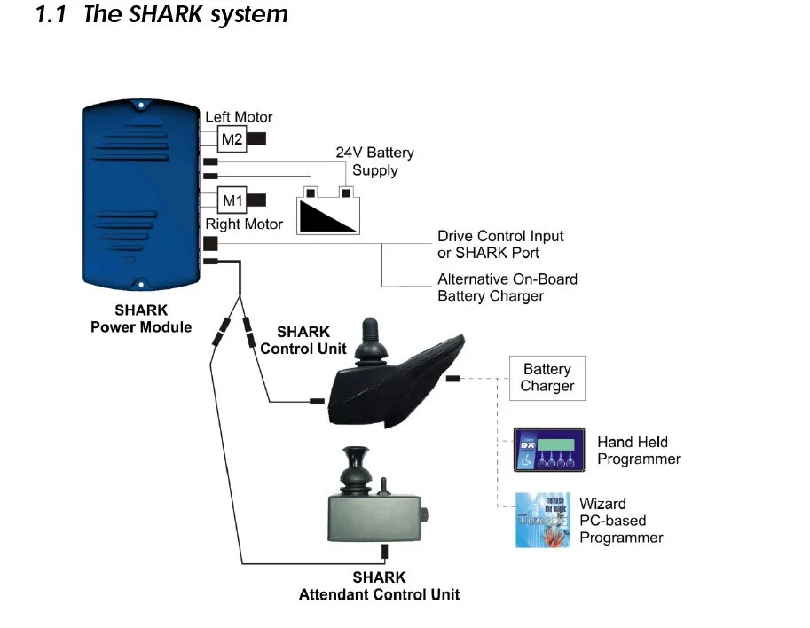 Shark 1