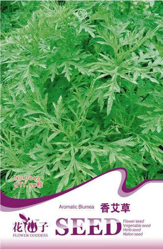 50 Ароматические Blumea Семян aromatria Херб D042 |