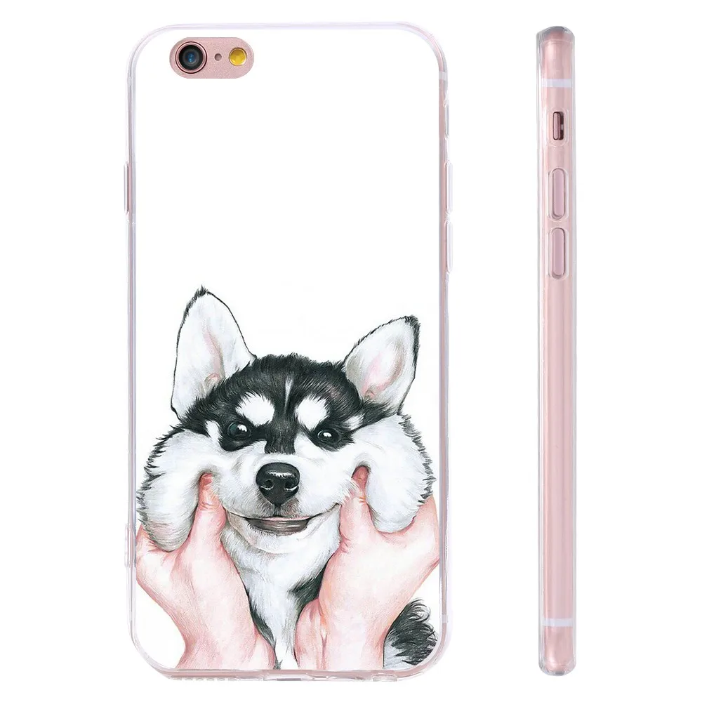 dog case (2)
