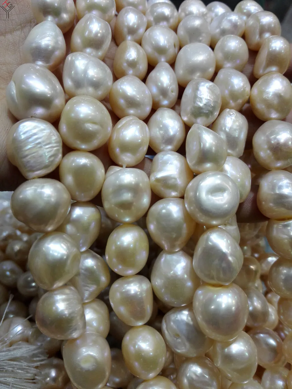 озерный жемчуг. жемчужина настоящая. россыпь жемчуга. озерный жемчуг. пресноводный жемчуг.