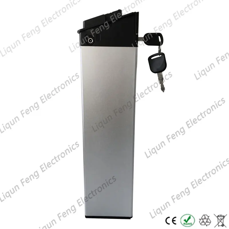 silver-fish-11
