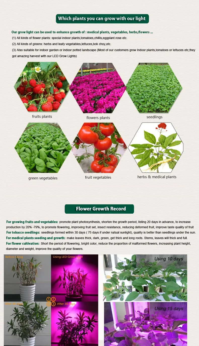 1 led grow light