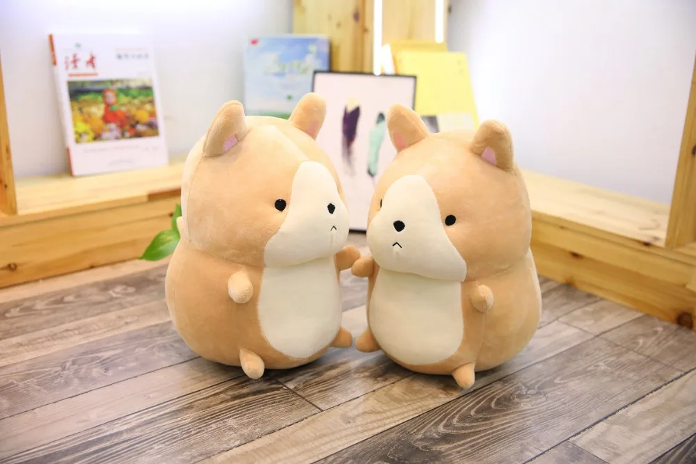 9057469606_526651954