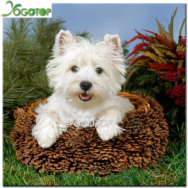 YOGOTOP Diy Алмазная картина westie pet Алмазная вышивка собаки икона крестиком Стразы мозаика картина для дома deocr YY522